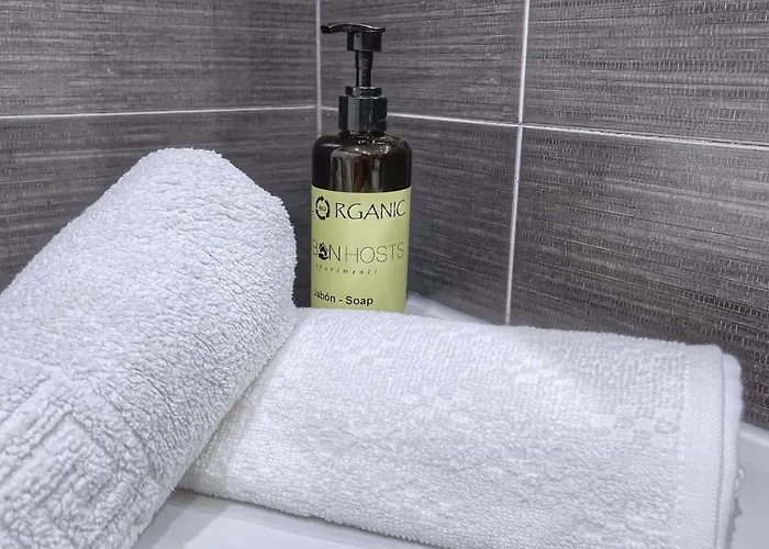 Vt Flat Reformado Con Escritorio De Trabajo Y Wifi * Bilbao