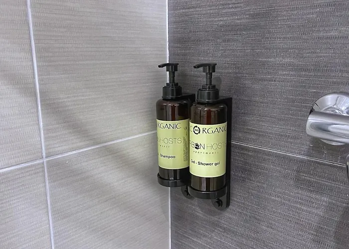 Vt Flat Reformado Con Escritorio De Trabajo Y Wifi * Bilbao