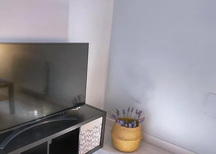 Vt Flat Reformado Con Escritorio De Trabajo Y Wifi アパート