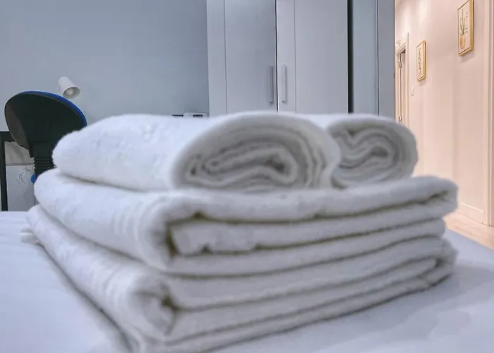 Vt Flat Reformado Con Escritorio De Trabajo Y Wifi Daire Bilbao